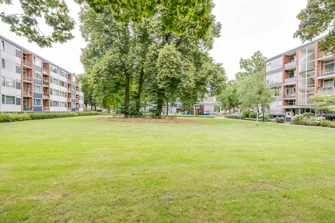 Foto 31 van Hunze 12