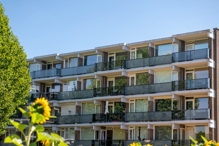 Foto 2 van Loplein 69