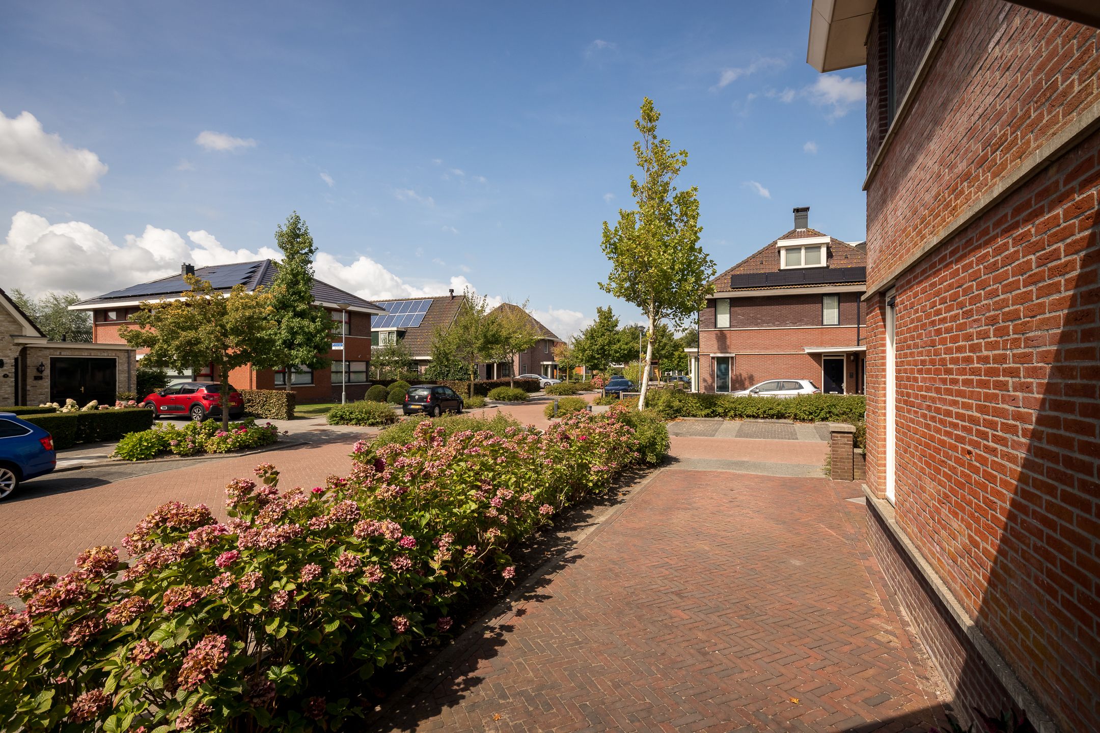 Foto 6 van Rietzanger 32