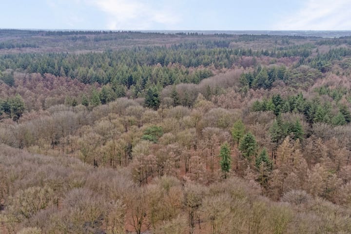 Photo 46 of Bergweg van Rijn 2