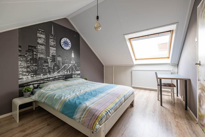 Foto 6 van Zigzagoven 79