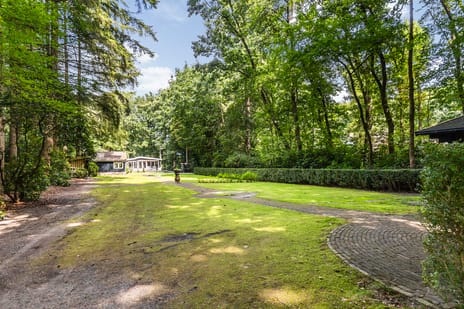 Onder de Bos 235 tertiary image