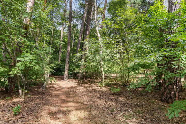 Foto 40 van Onder de Bos 235