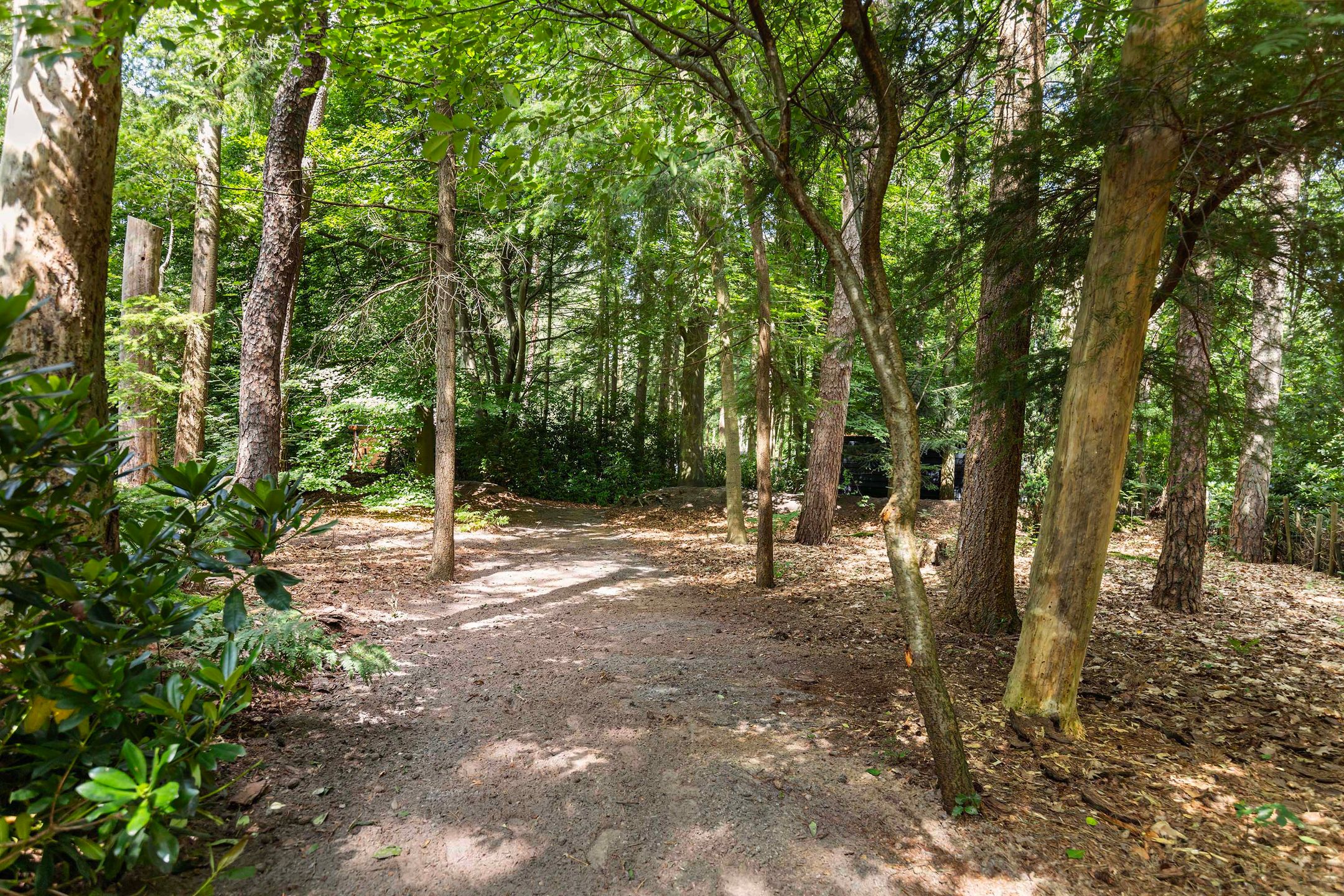 Foto 42 van Onder de Bos 235