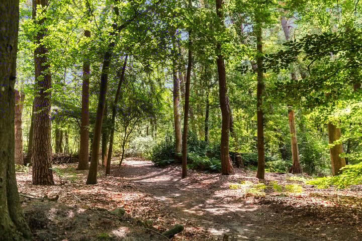 Foto 43 van Onder de Bos 235