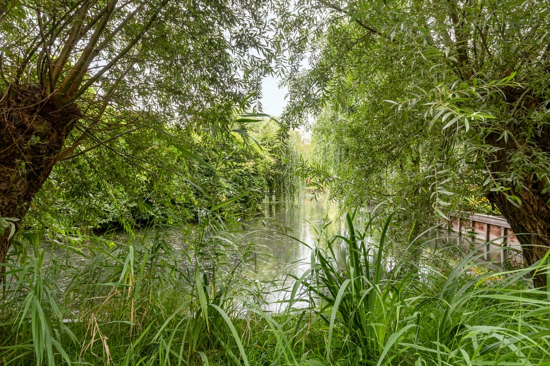 Foto 23 van Anna van Hensbeeksingel 66