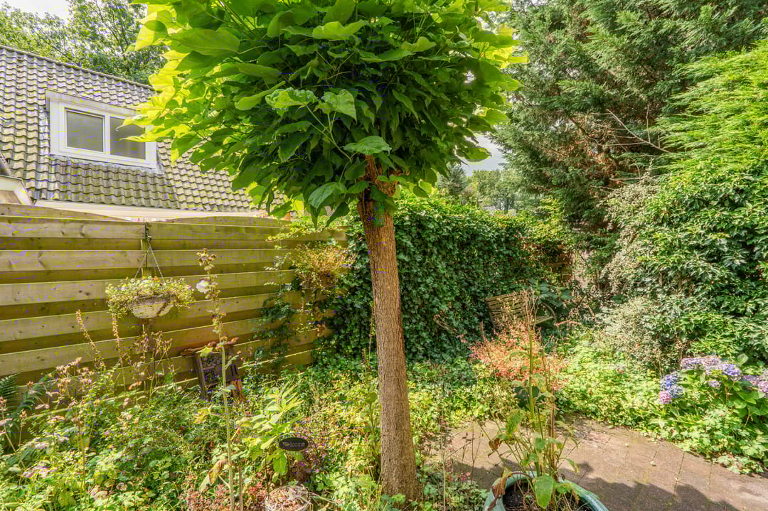 Foto 37 van Westeres 1