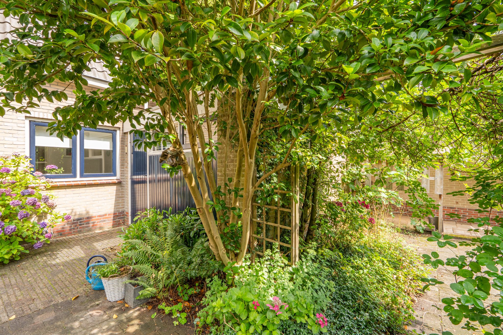 Foto 42 van Westeres 1