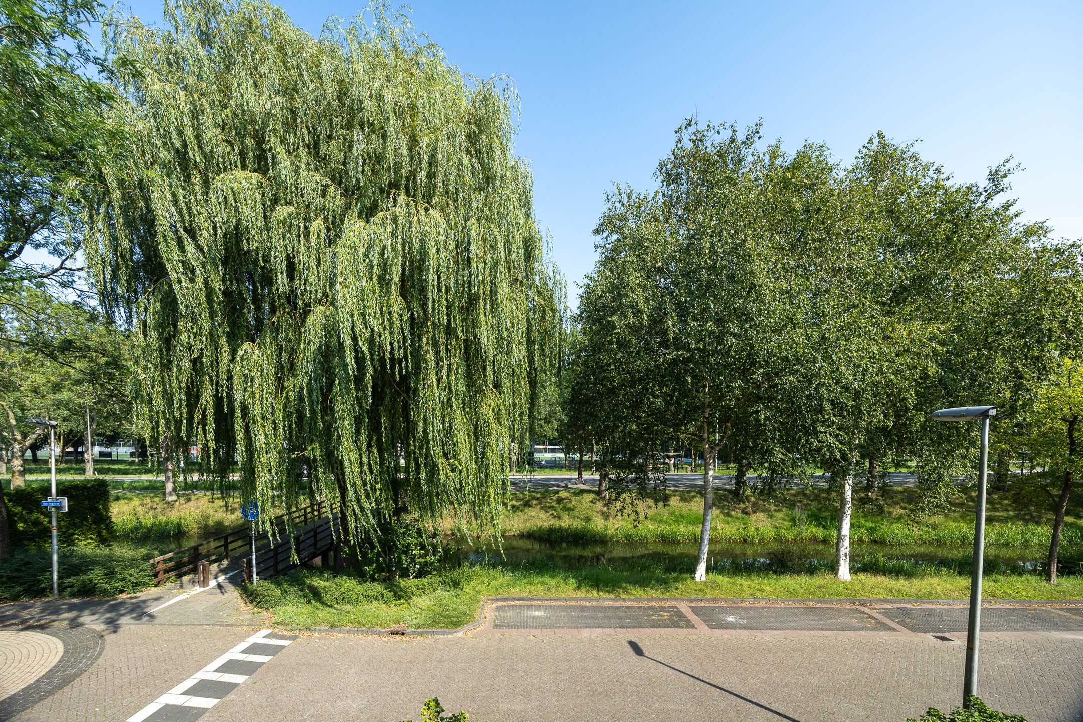 Photo 15 of Rosmolen 4