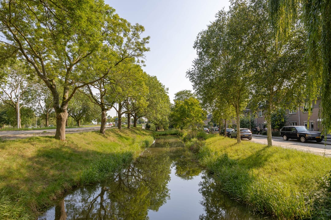 Photo 31 of Rosmolen 4