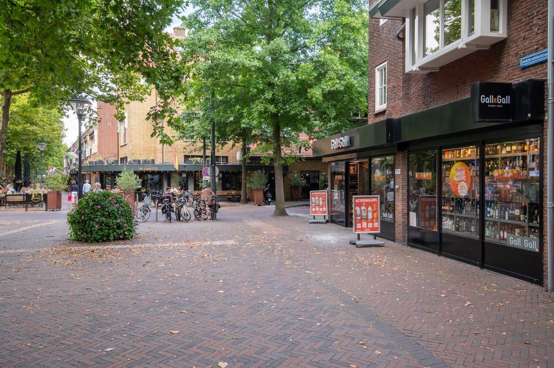 Foto 46 van Jan van den Bergstraat 16