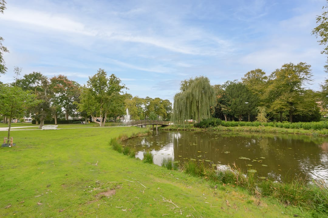 Photo 37 of Rosmolen 4