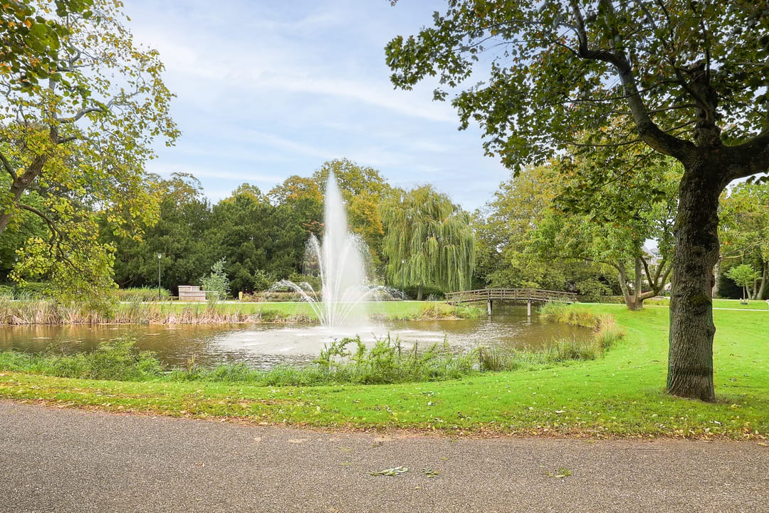 Photo 38 of Rosmolen 4