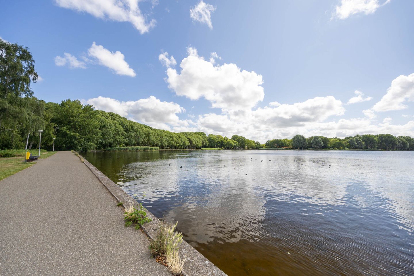 Photo 40 of Rosmolen 4