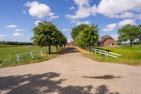 Bekijk foto's