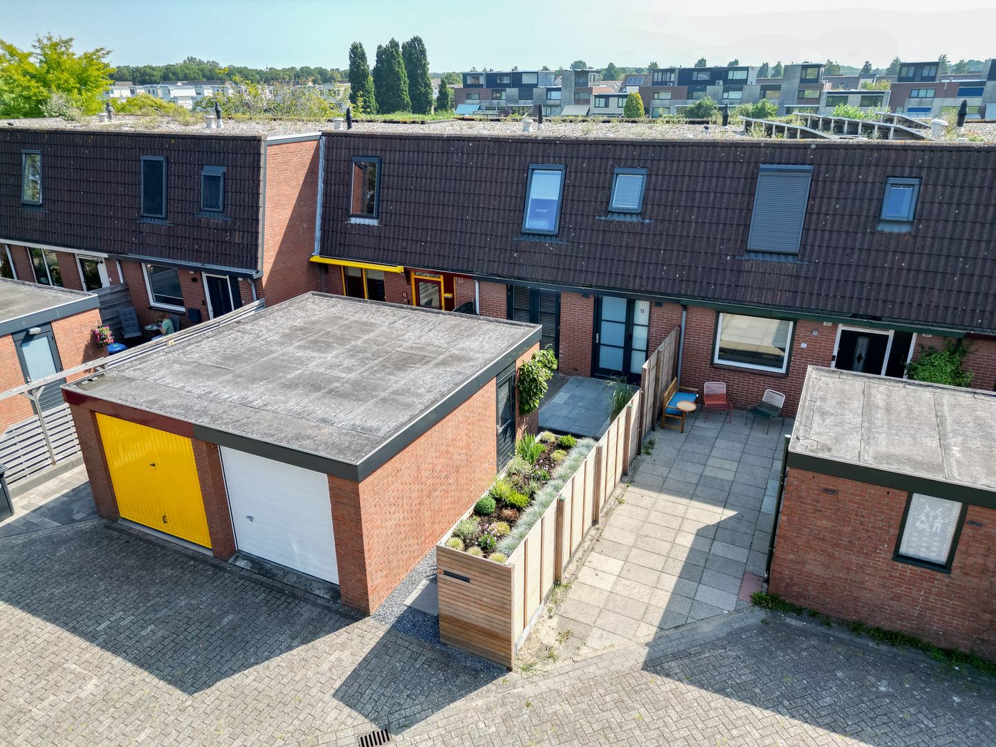 Foto 1 van Pluimgras 13