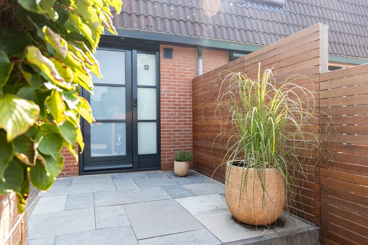 Foto 12 van Pluimgras 13