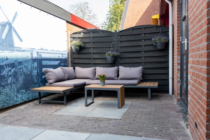 Foto 42 van Pluimgras 13