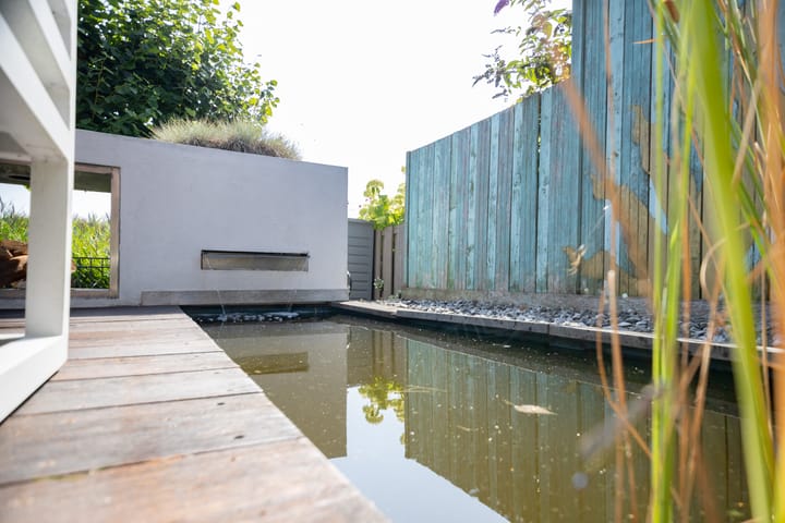 Foto 48 van Pluimgras 13