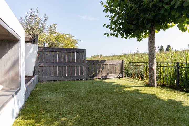 Foto 49 van Pluimgras 13