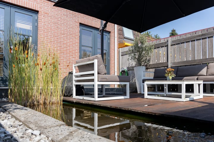 Foto 52 van Pluimgras 13