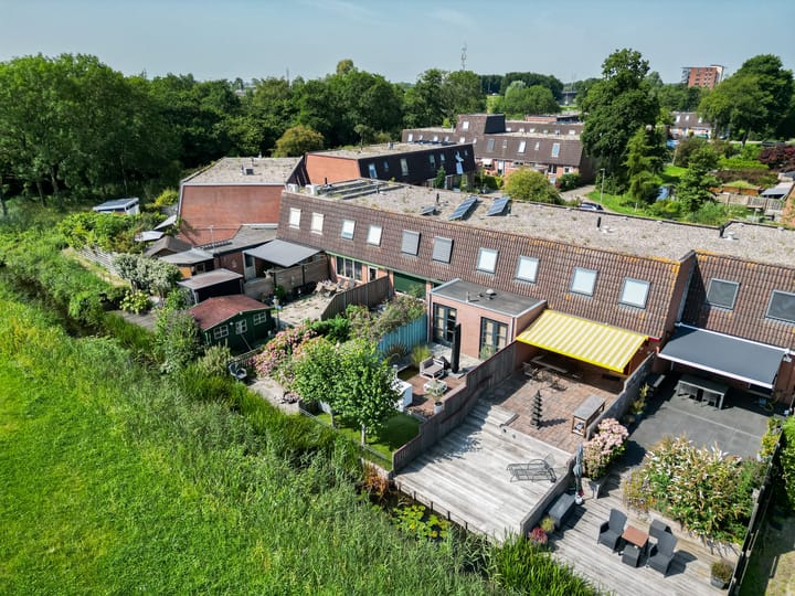 Foto 53 van Pluimgras 13