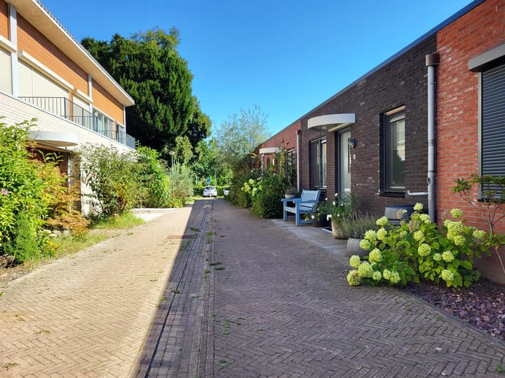 Foto 5 van Schaterland 12