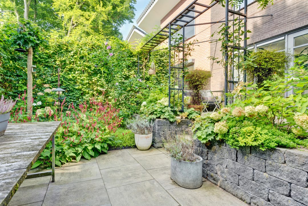 Foto 22 van Schaterland 12