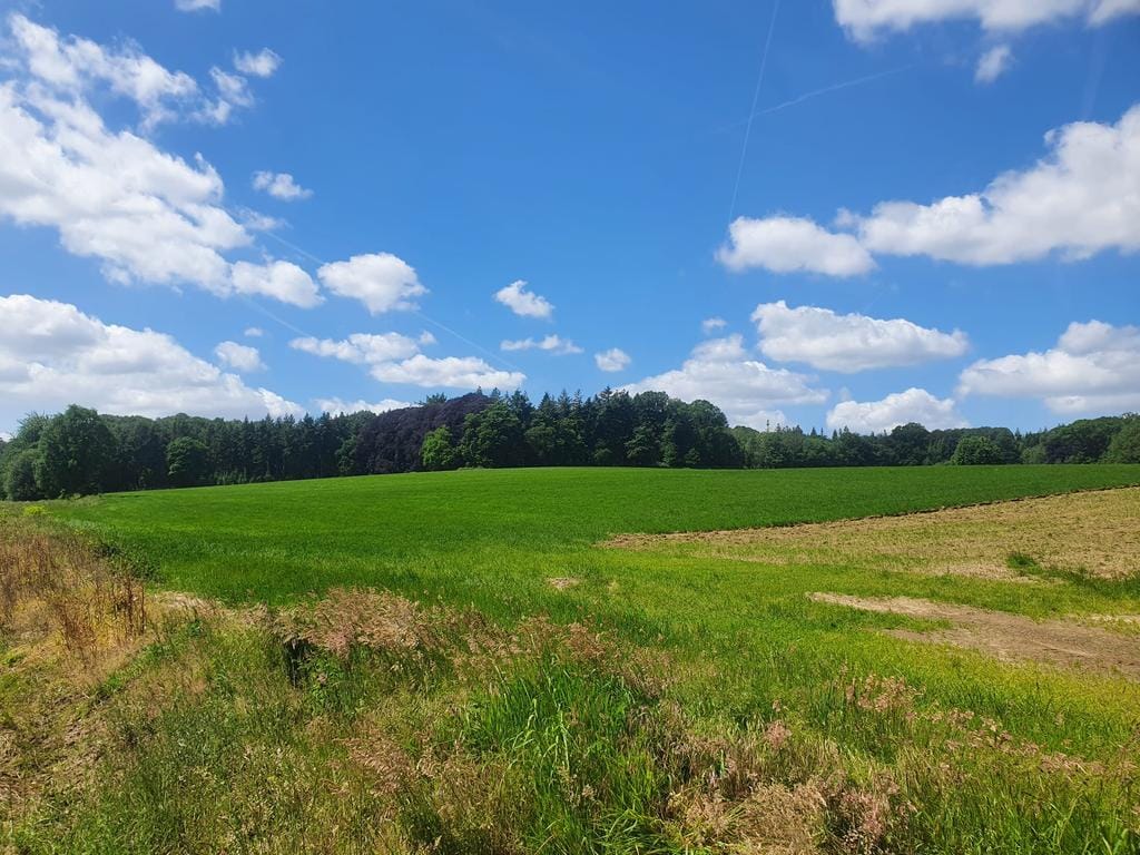 Foto 29 van Schaterland 12