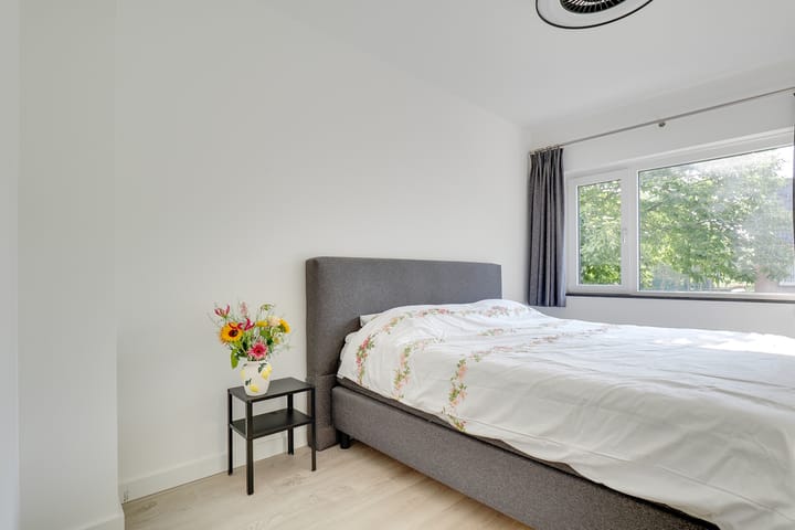 Foto 18 van Schaepmanstraat 46