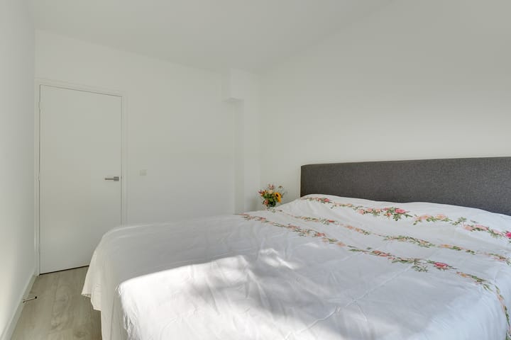 Foto 19 van Schaepmanstraat 46