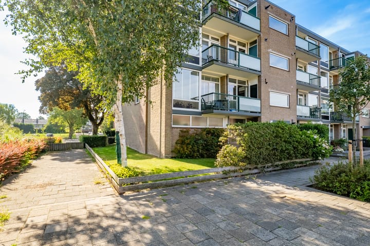 Foto 31 van Schaepmanstraat 46