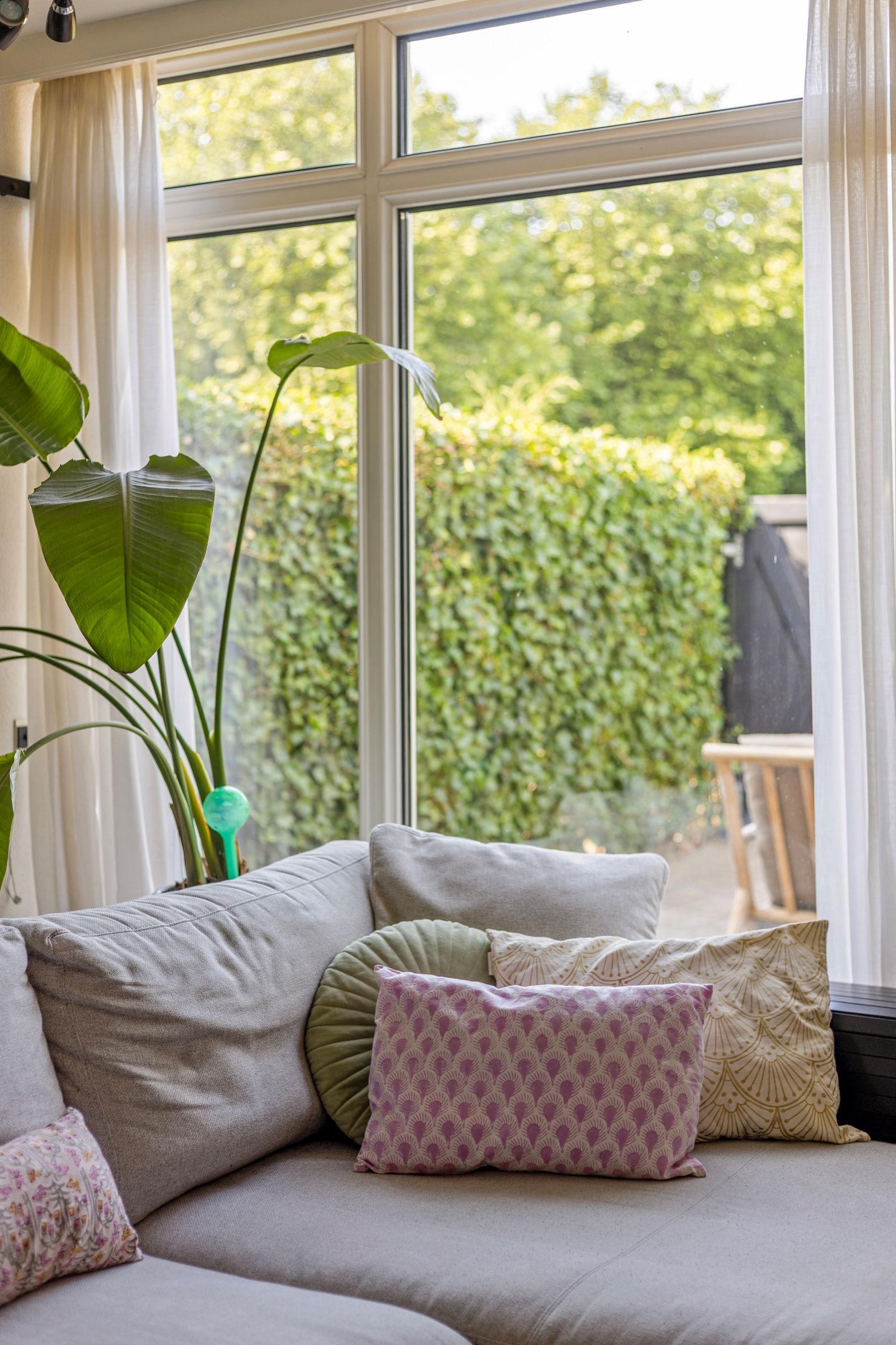 Foto 24 van Schoener 24