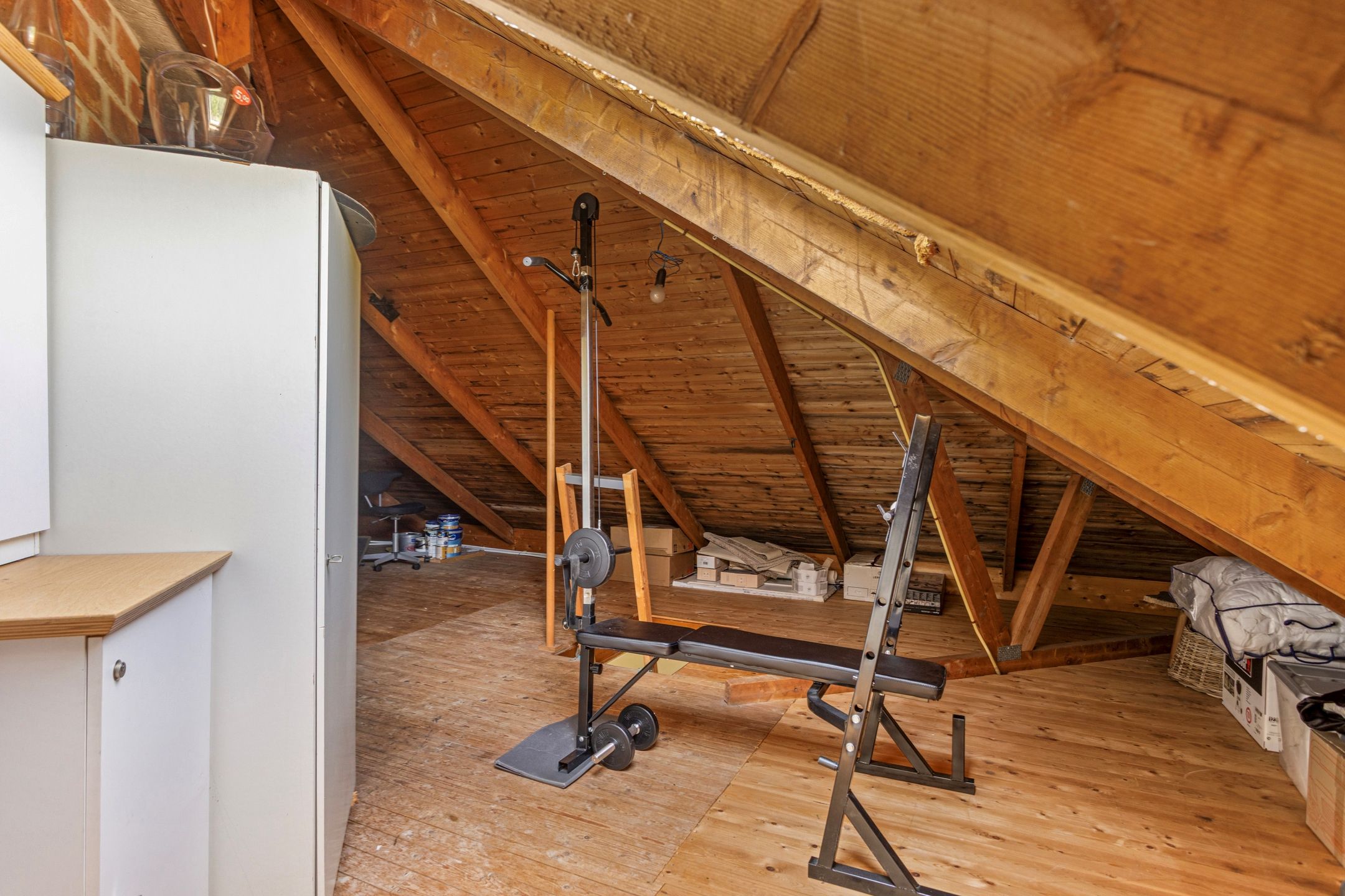 Foto 39 van Schoener 24