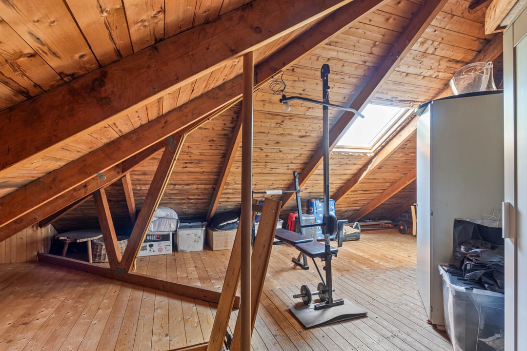 Foto 38 van Schoener 24