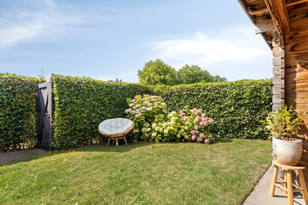 Foto 46 van Schoener 24