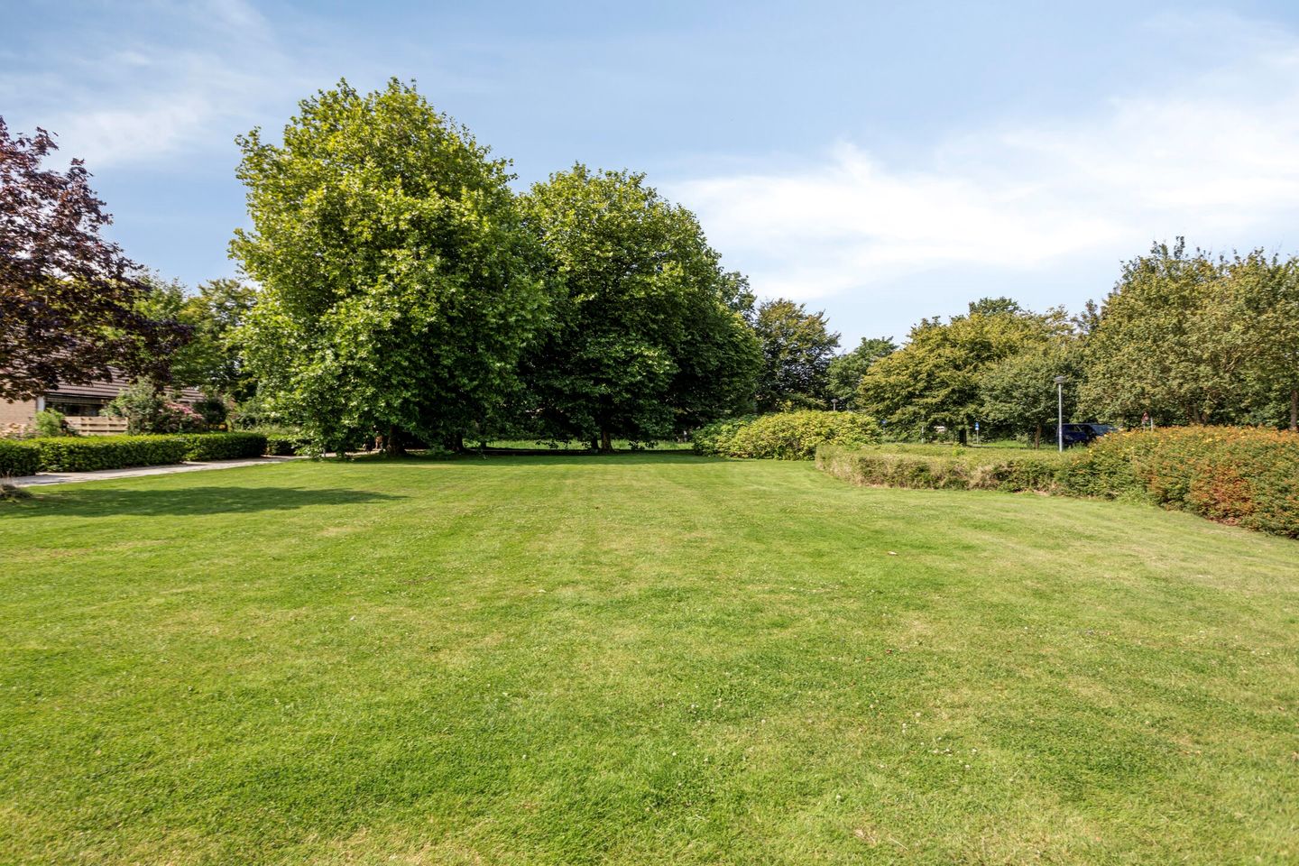 Foto 49 van Schoener 24