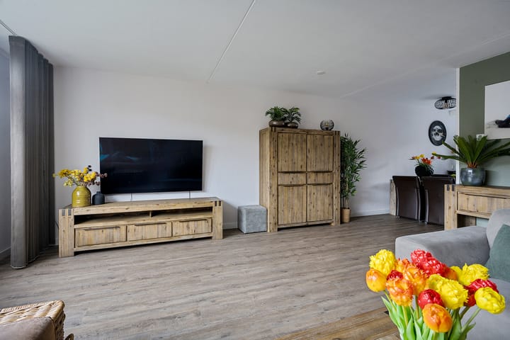 Foto 10 van Sneeuwvink 15