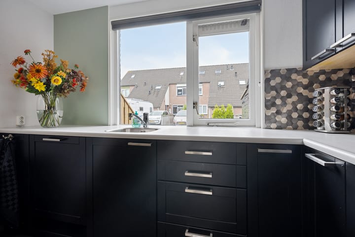 Foto 15 van Sneeuwvink 15