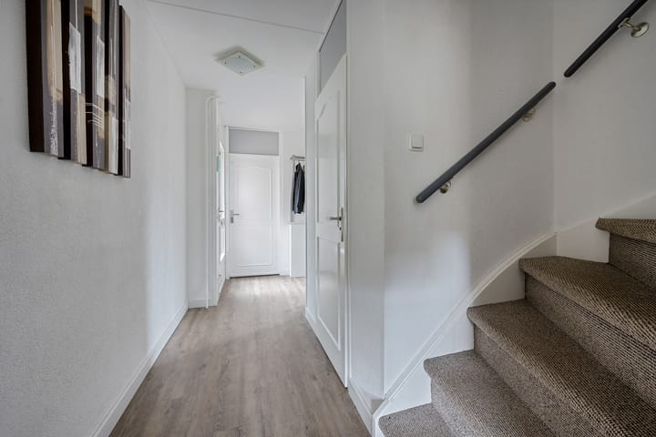 Foto 19 van Sneeuwvink 15