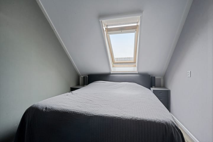 Foto 21 van Sneeuwvink 15