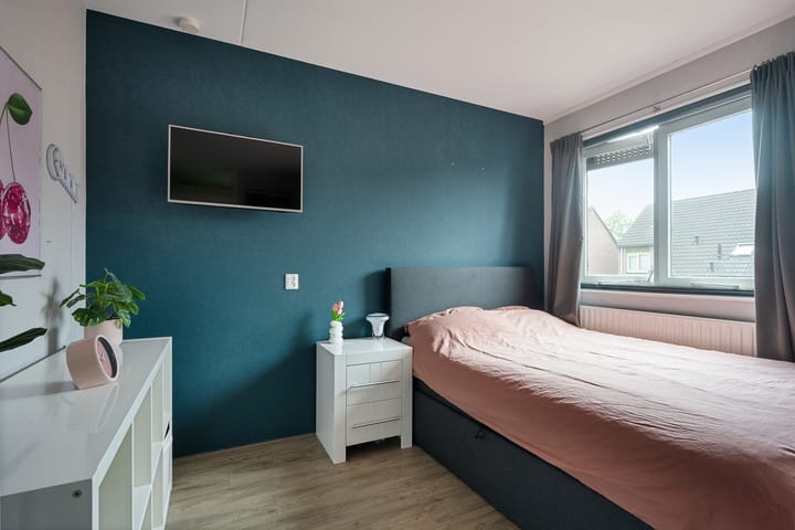 Foto 24 van Sneeuwvink 15