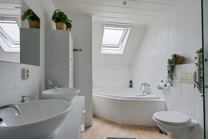 Foto 26 van Sneeuwvink 15