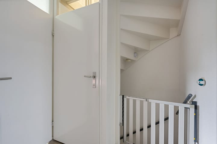 Foto 29 van Sneeuwvink 15