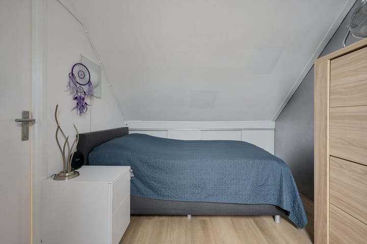 Foto 32 van Sneeuwvink 15