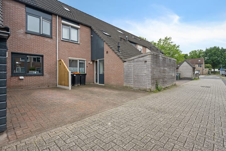 Foto 45 van Sneeuwvink 15