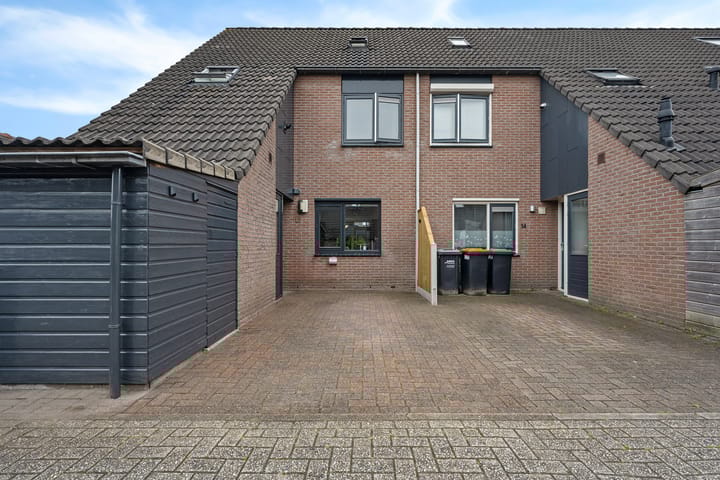 Foto 46 van Sneeuwvink 15