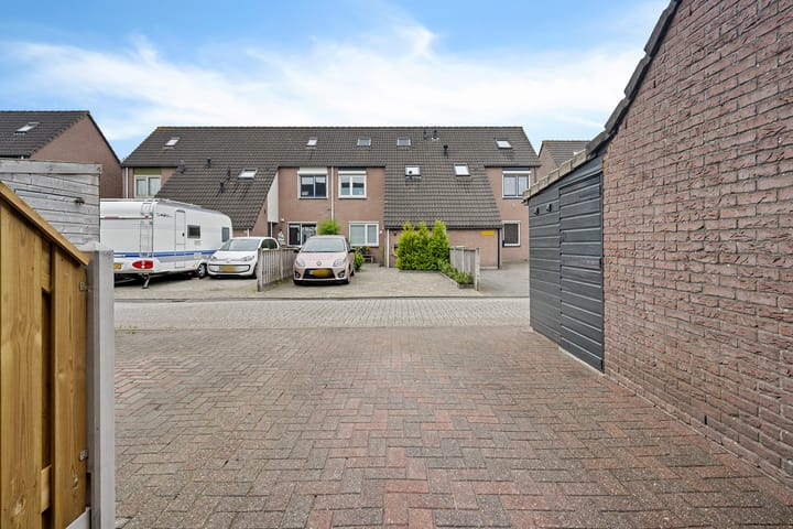 Foto 48 van Sneeuwvink 15