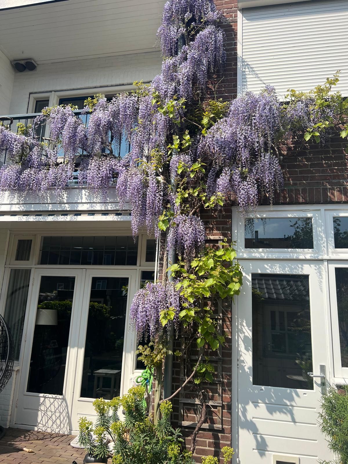 Foto 55 van M.K. Hofstedestraat 18