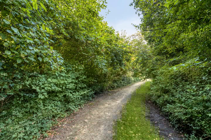 Foto 37 van Spant 69